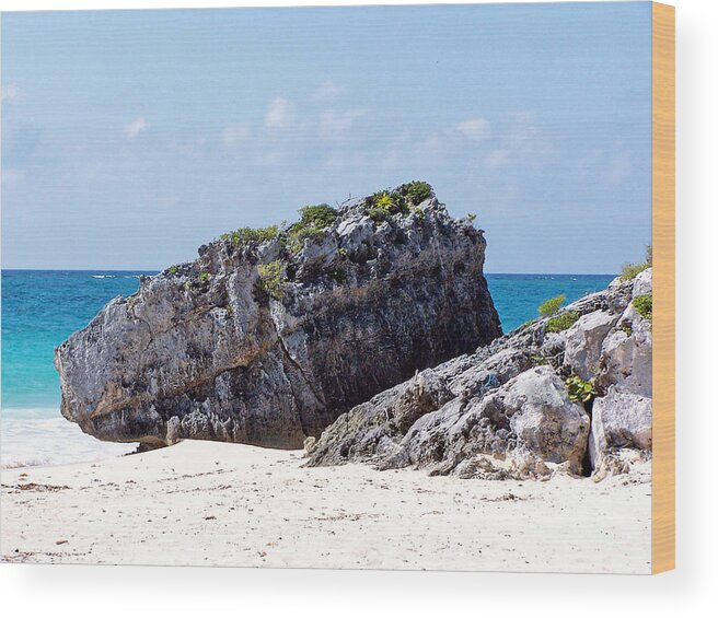 Tulum Wood Print featuring the photograph Large Boulder on Beach at Tulum by Tom Doud