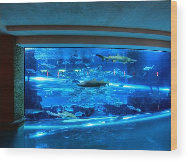 Aquarium Wood Print featuring the photograph Las Vegas 067 by Lance Vaughn