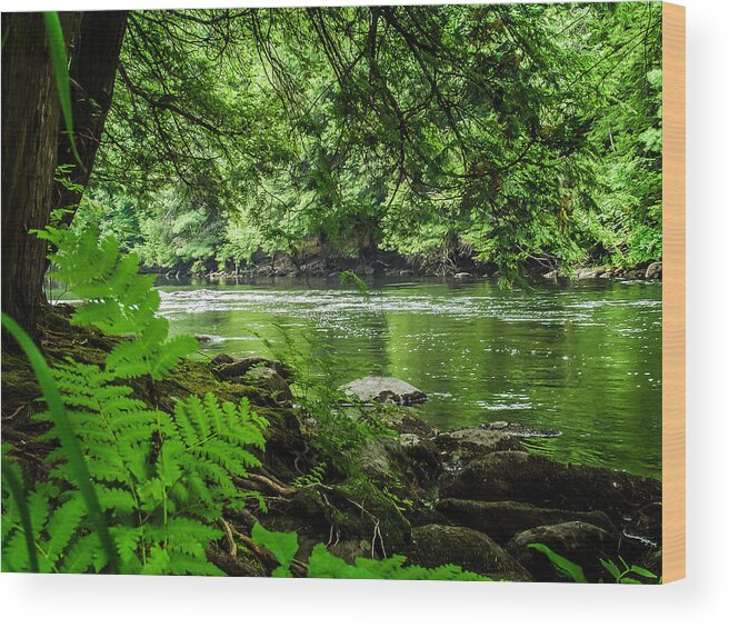 Adirondacks Wood Print featuring the photograph Lazy afternoon on the Schroon River by Louis Dallara