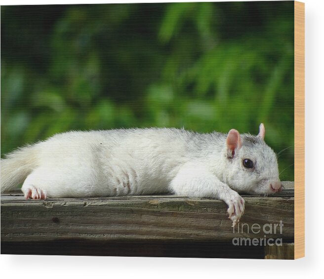 White Wood Print featuring the photograph Lazy Days Of Summer by Crystal Joy Photography