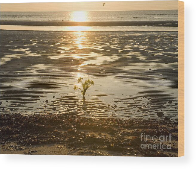 Sunrise Wood Print featuring the photograph Leftover Bouquet by Carol Lynn Coronios