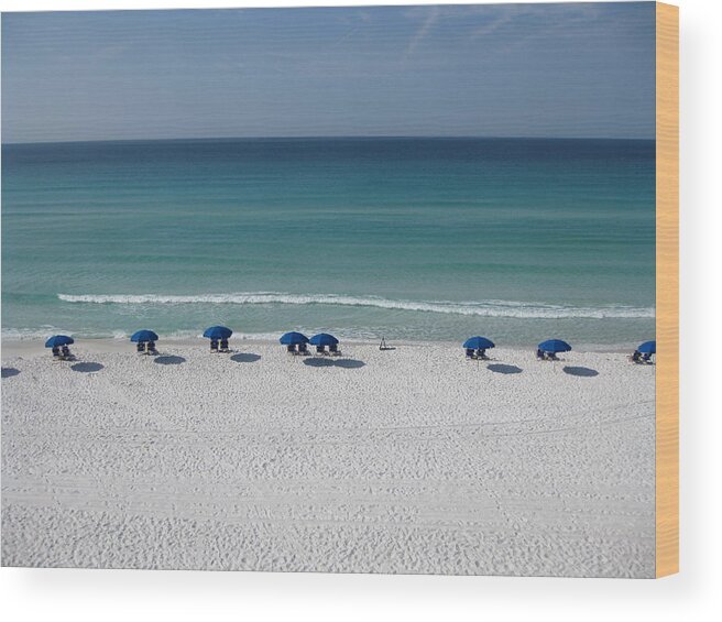 Kathy Long Wood Print featuring the photograph Life at the Beach by Kathy Long