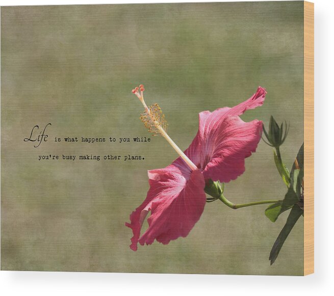 Pink Flower Wood Print featuring the photograph Life by Kim Hojnacki