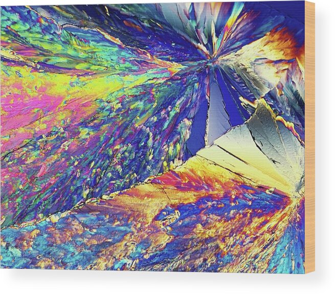 Biochemical Wood Print featuring the photograph Light Micrograph Of Citric Acid Crystals by Alfred Pasieka