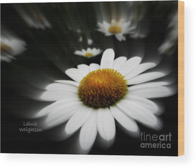 Flowers Wood Print featuring the photograph Light of Your Own Being by Lainie Wrightson