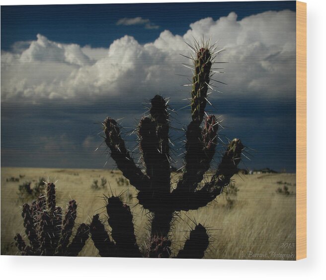 Stratocumulus Cloud Wood Print featuring the photograph Light on the Cholla Spines by Aaron Burrows