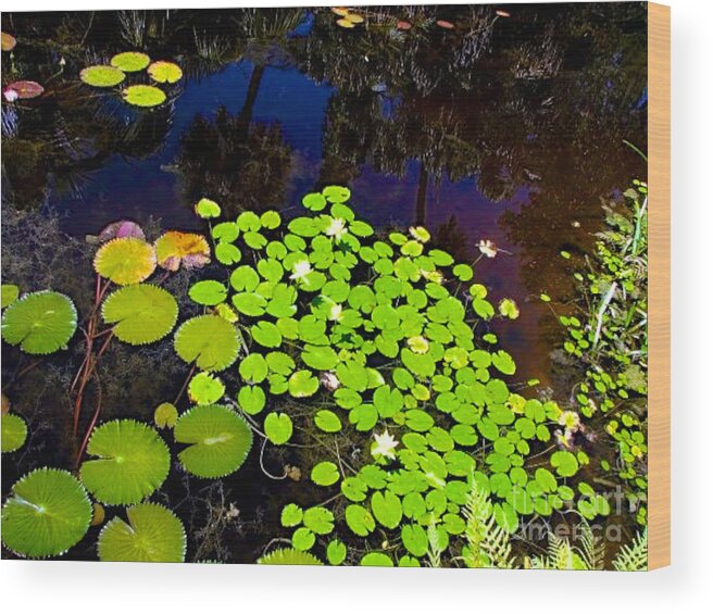 Pond Wood Print featuring the photograph Lily Pads by Anita Lewis