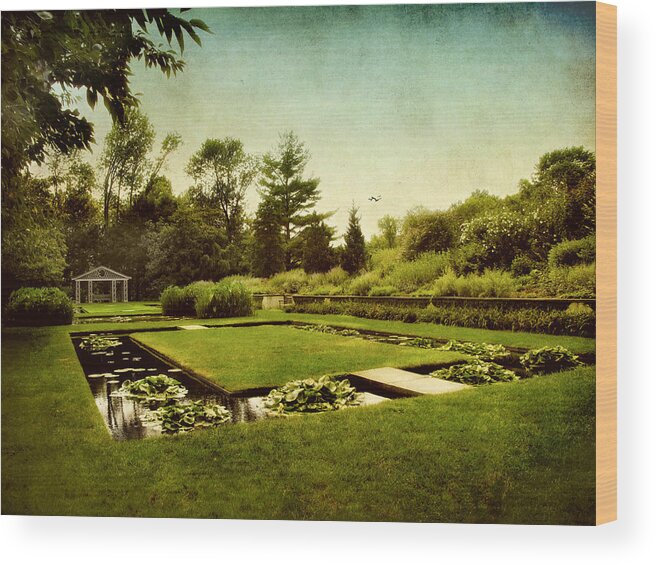 Nature Wood Print featuring the photograph Lily Pond by Jessica Jenney