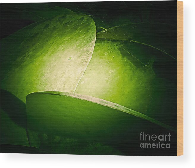 Abstract Wood Print featuring the photograph Living Scent by Fei A