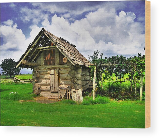 Cabin Wood Print featuring the photograph Smokehouse by Savannah Gibbs