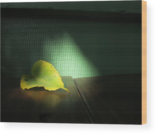 Leaf Wood Print featuring the photograph Lone Leaf by Paul Foutz