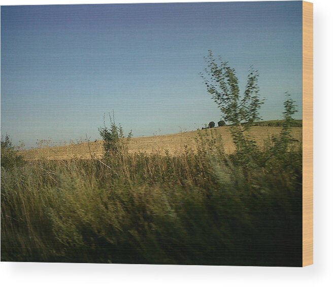 Landscape Wood Print featuring the photograph Lonely Field by Andreea Alecu