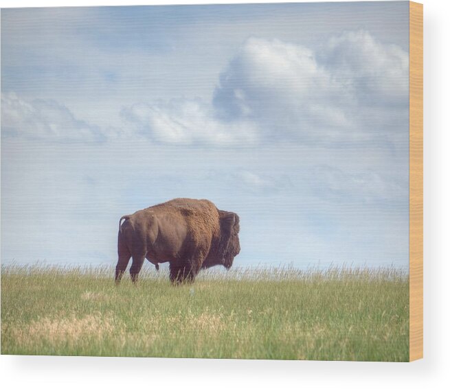 Prairie Wood Print featuring the photograph Lonely Prairie by HW Kateley