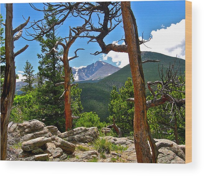 Photo Wood Print featuring the photograph Longs Peak by Dan Miller