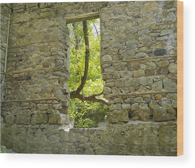 Building Wood Print featuring the photograph Looking Out to Green by Corinne Elizabeth Cowherd