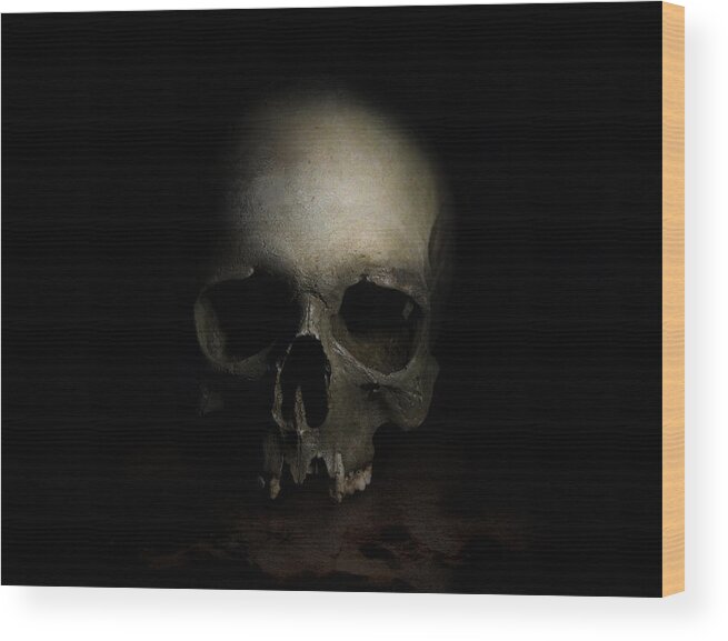 Human Wood Print featuring the photograph Male skull by Jaroslaw Blaminsky