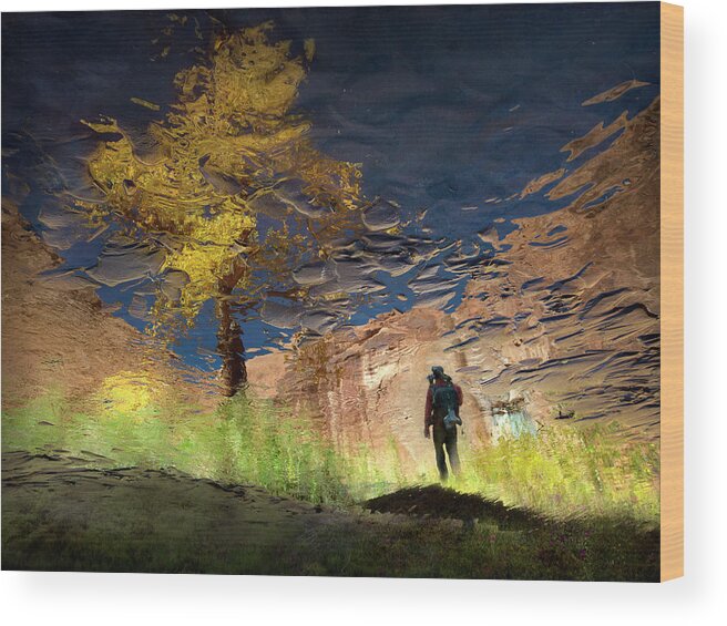 Puddle Wood Print featuring the photograph Man In Nature - Into The Canyon by Shenshen Dou