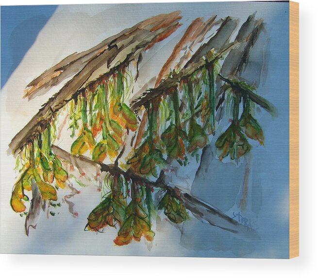 Maple Tree Wood Print featuring the painting Maple Tree Buds by Elaine Duras