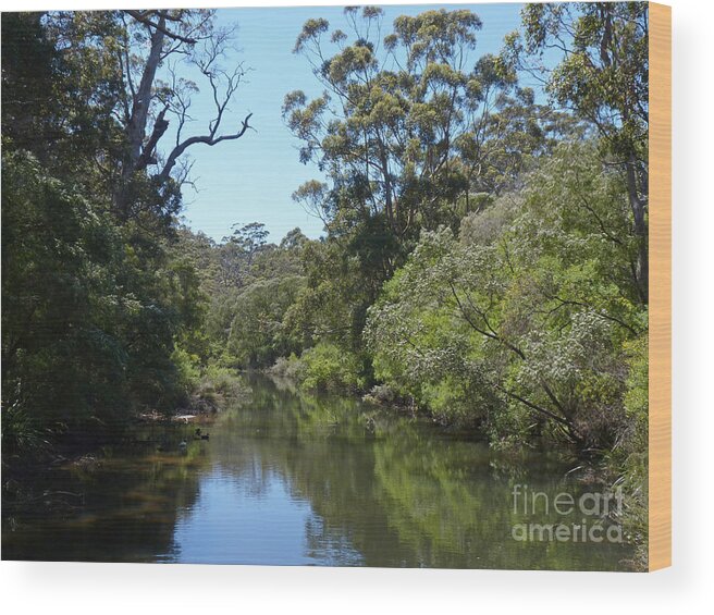 Australia Wood Print featuring the photograph Margaret River - Western Australia by Phil Banks