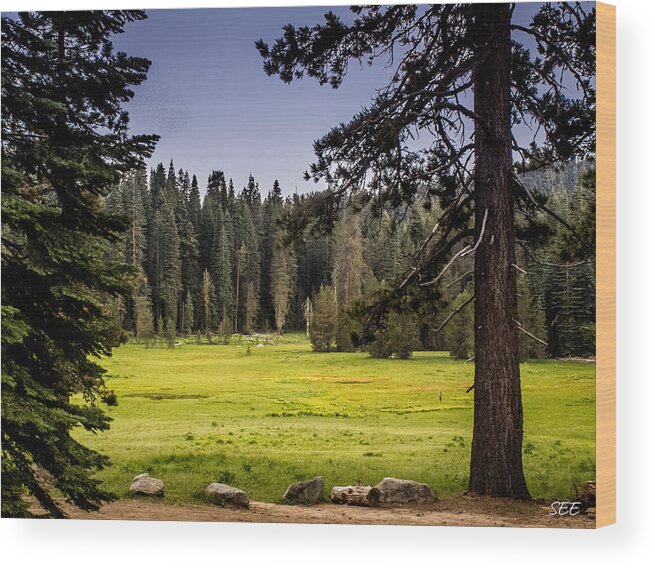 Yosemite Wood Print featuring the photograph May I Intrude on Your Meadow by Susan Eileen Evans