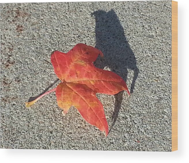 Red Leaf Wood Print featuring the photograph Me and My Shadow by Caryl J Bohn