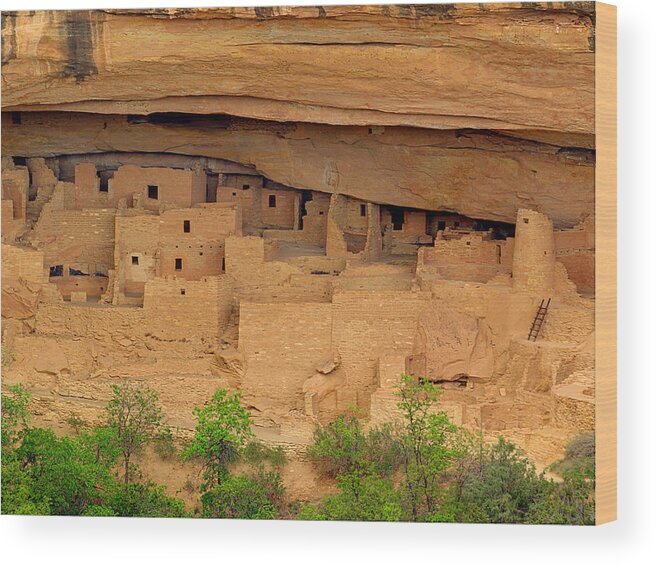 Mesa Wood Print featuring the photograph Mesa Verde 01 by HW Kateley