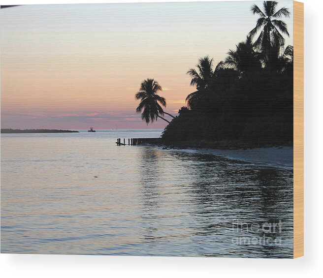 Photography Wood Print featuring the photograph Miami Palms by Shelia Kempf