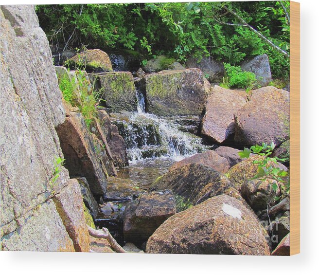 Water Fall Wood Print featuring the photograph Mini Water Fall by Elizabeth Dow