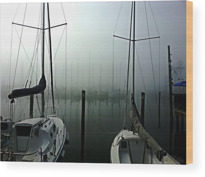 Sailboats Wood Print featuring the photograph Misty by Anna Kohler