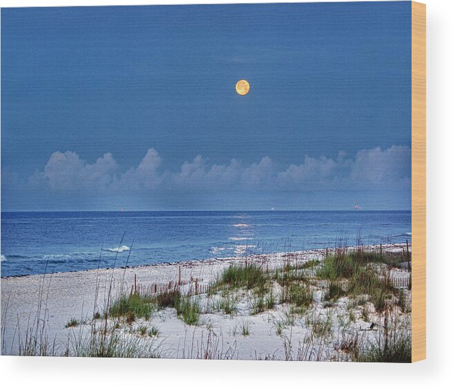 Alabama Photographer Wood Print featuring the digital art Moon Over Beach by Michael Thomas