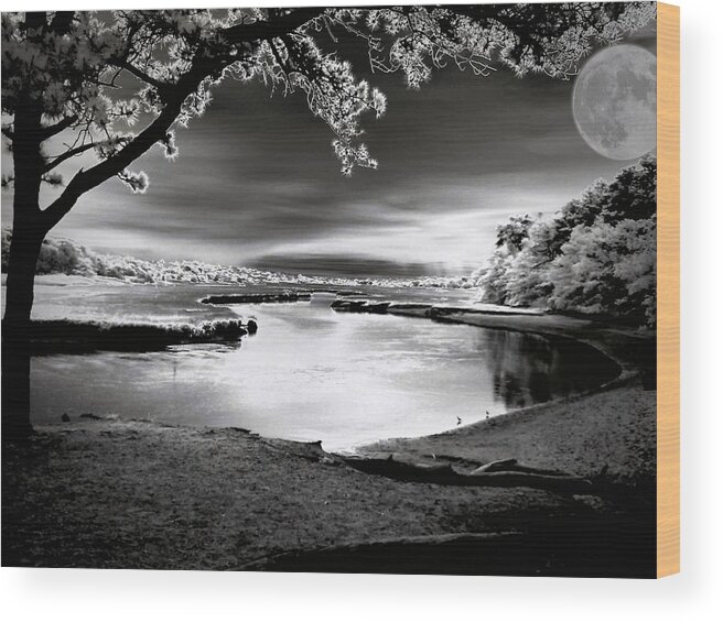 Landscape Wood Print featuring the photograph Moona Lagoona by Robert McCubbin
