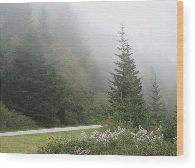Kathy Long Wood Print featuring the photograph Morning Mist by Kathy Long