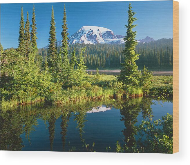 Water's Edge Wood Print featuring the photograph Mount Rainier National Park by Ron thomas