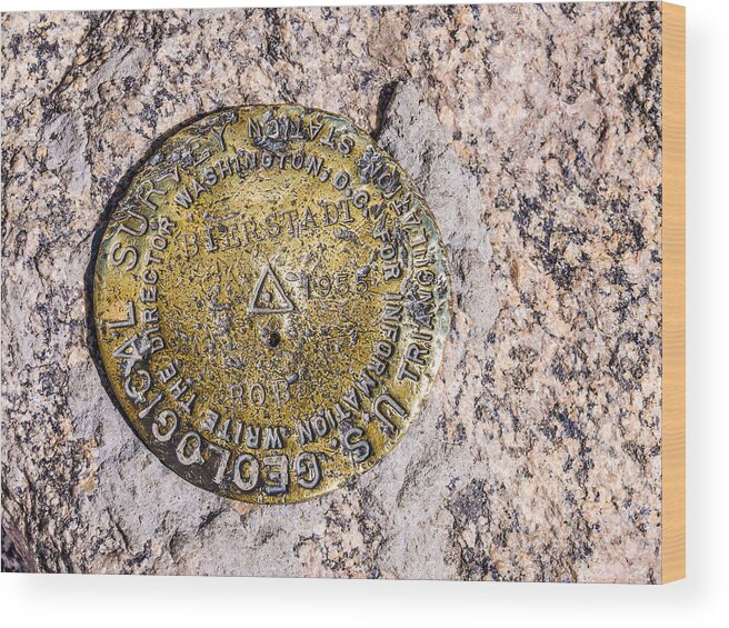 Bierstadt Wood Print featuring the photograph Mt. Bierstadt Survey Marker by Aaron Spong