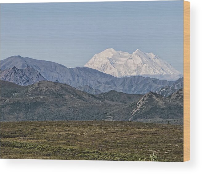 Mt. Mckinley Wood Print featuring the photograph Mt. McKinley aka Denali by Phyllis Taylor