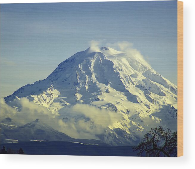 National Park Wood Print featuring the photograph Mt. Rainier Washington by Ron Roberts