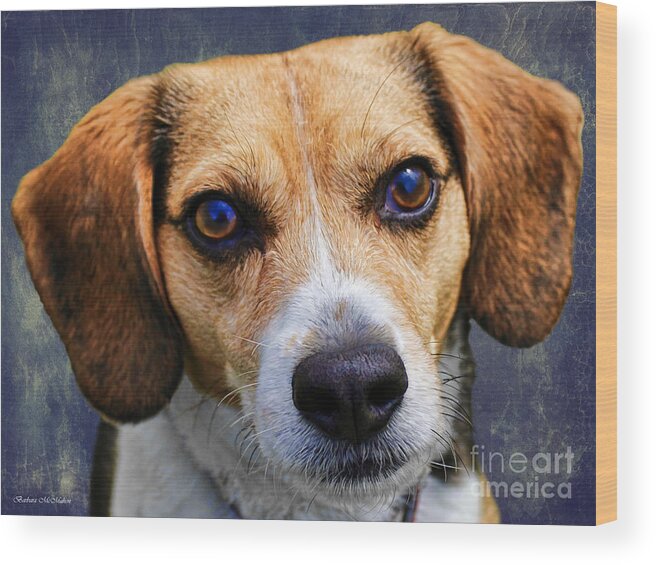 Beagle Wood Print featuring the photograph My Name Is Moose by Barbara McMahon
