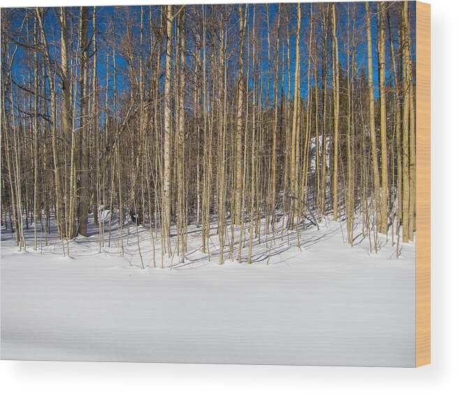 Bare Wood Print featuring the photograph Naked Wilderness by Mike Lee