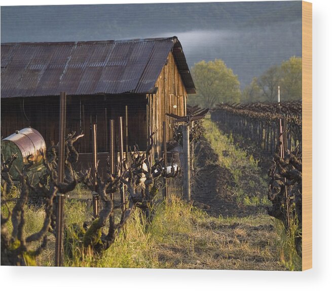 Napa Wood Print featuring the photograph Napa Morning by Bill Gallagher