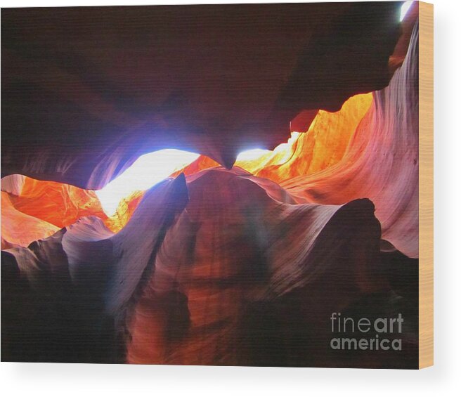 Natures Flare For Art Wood Print featuring the photograph Natures Flare For Art by John Malone