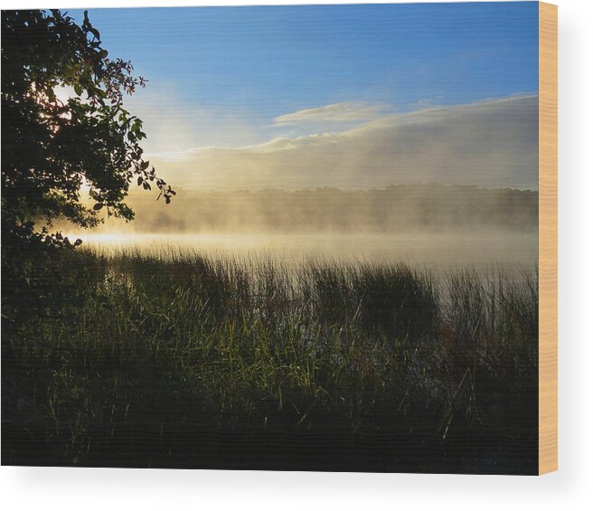 Sunrise Wood Print featuring the photograph Nature's Way by Dianne Cowen Cape Cod Photography