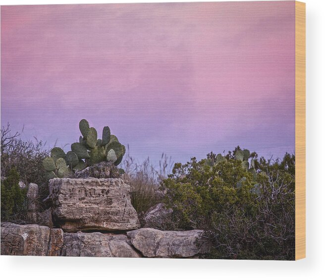 Cacti Wood Print featuring the photograph New Mexico Sunset with Cacti by Jean Noren