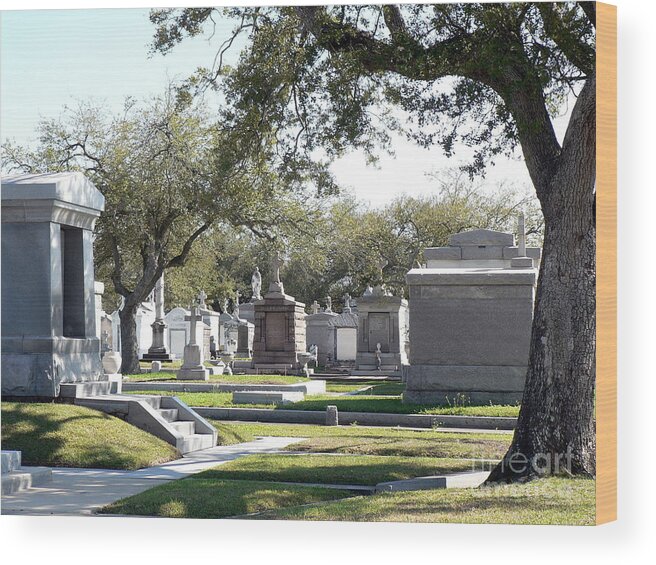 New Orleans Cemetery Wood Print featuring the photograph New Orleans Cemetery 2 by Elizabeth Fontaine-Barr