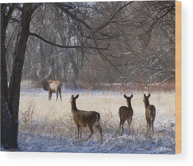 Deer Wood Print featuring the digital art Next of Kin by Bill Stephens