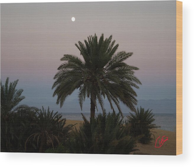 Colette.hera Wood Print featuring the photograph Nuweiba Beach Sinai Egypt #1 by Colette V Hera Guggenheim