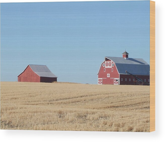 Barns Wood Print featuring the photograph Old and New by Ron Roberts