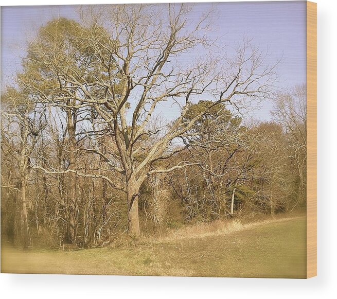 Old Wood Print featuring the photograph Old Haunted Tree by Chris W Photography AKA Christian Wilson