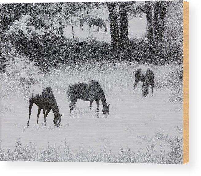 Animals Horses Landscape Wildlife Meadows Trees Sunlight Ink Perspective Wood Print featuring the painting On A Country Road by Tony Ruggiero