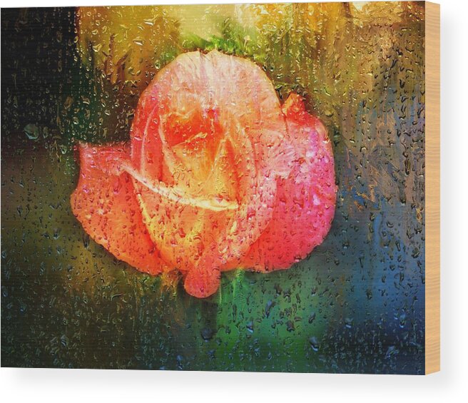 Orange Rose Wood Print featuring the digital art Orange Rose and rain drops by Lilia S