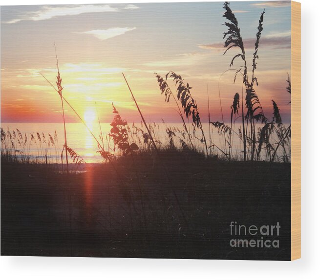 Aquatic Wood Print featuring the photograph Orb of Day by Megan Dirsa-DuBois